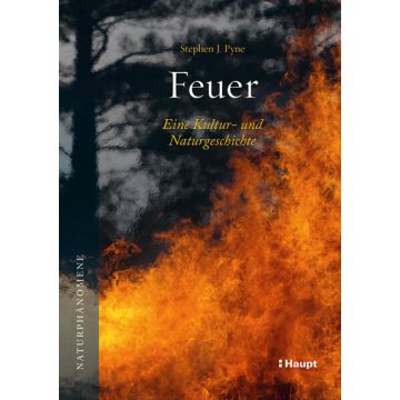 Feuer
