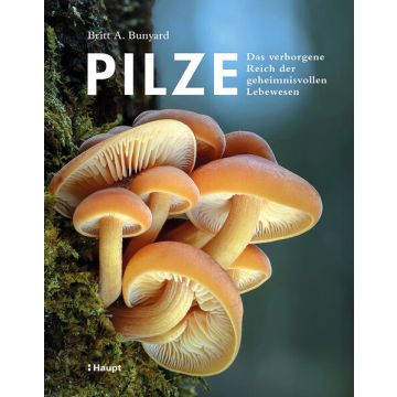 Pilze