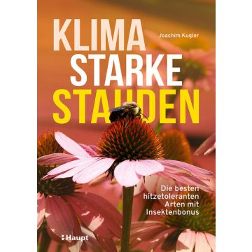 Klimastarke Stauden