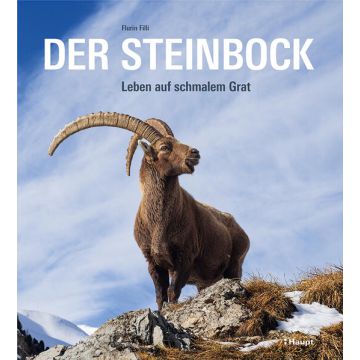 Der Steinbock
