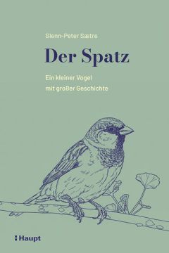 Der Spatz