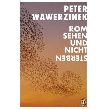 Rom sehen und nicht sterben