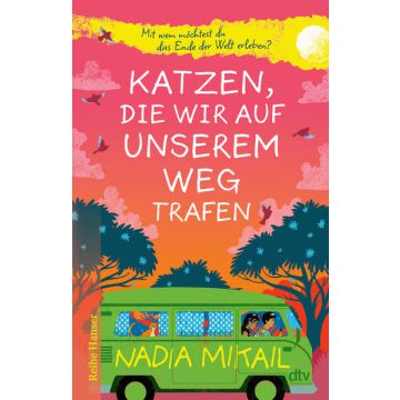 Katzen, die wir auf unserem Weg trafen