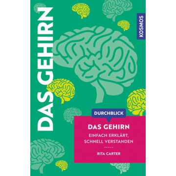 Durchblick Das Gehirn