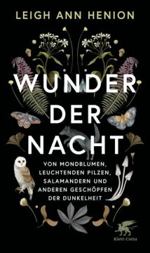 Wunder der Nacht