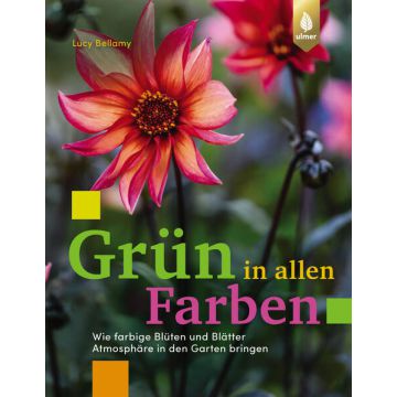 Grün in allen Farben