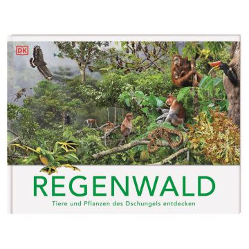 Regenwald