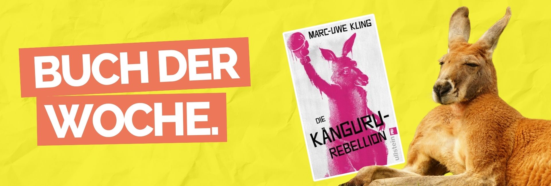 "Buch der Woche: Die K&auml;nguru-Rebellion von Marc-Uwe Kling"