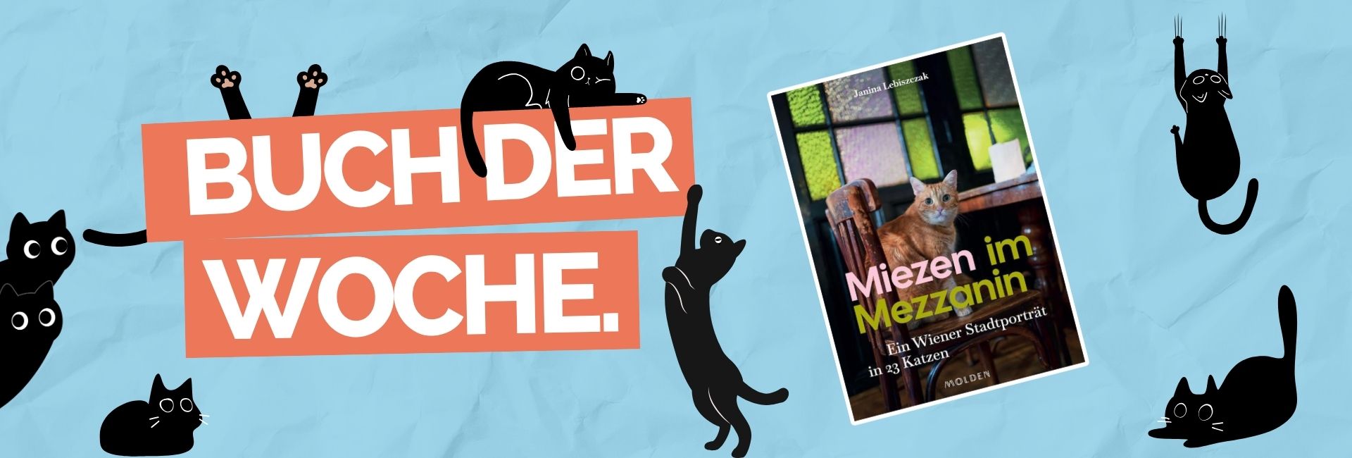 Buch der Woche: Miezen im Mezzanin von Janina Lebiszczak